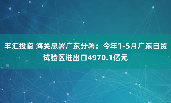 丰汇投资 海关总署广东分署：今年1-5月广东自贸试验区进出口4970.1亿元